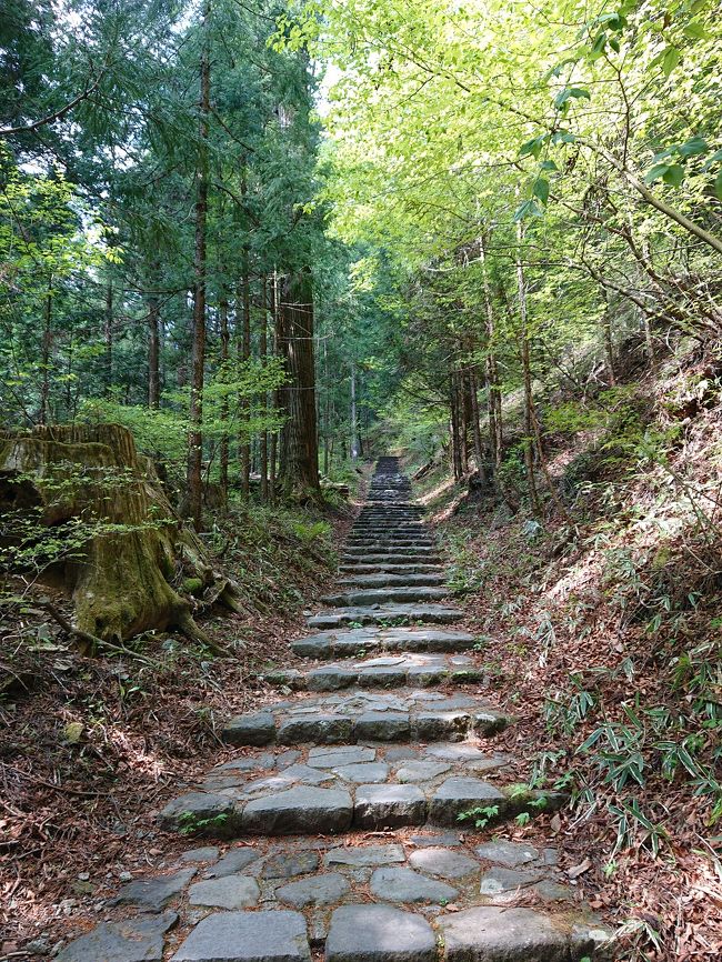 初夏の日光 初日は輪王寺から滝尾神社ハイキング。パワースポット巡り