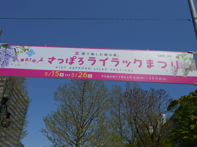 突然暑くなった札幌。<br />5月15日から始まった「さっぽろライラックまつり」に出掛けてみました。<br />2019年は第61回。<br />大通会場は5月15日から26日。<br />川下会場は6月1日、2日。<br />昭和34年、「ライラックの花が咲き揃う季節に文化の香り高い行事を行う」という文化人の呼びかけにより始まったのがライラックまつりです。<br />ライラックは昭和35年に札幌の木にも選ばれ、どこの家の庭先でも見かけるほど市民にも親しまれる木となりました。<br />今では、札幌に初夏の訪れを告げるおまつりとして市民の間にも定着し、札幌を代表する春のイベントへと成長しました。(ＨＰ)