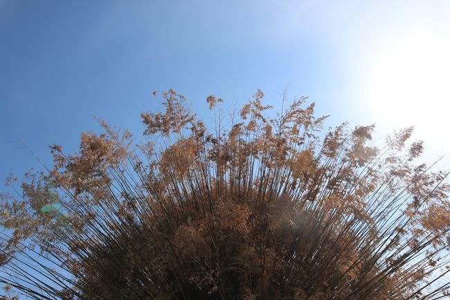 3年に一度開催される瀬戸内国際芸術祭。<br />友人に誘われてよく分からないまま見に行った前回、以外にも芸術の面白さと奥深さにはまってしまい、今回はぜひ事前に作品鑑賞パスポートを購入し、予定を立てて見て回ろうと決めていました。<br />今年、第4回目の開催となる芸術祭が開幕しました。<br /><br />ふれあう春:4月26日~5月26日<br />あつまる夏:7月19日~8月25日<br />ひろがる秋:9月28日~11月4日<br /><br />個人では効率的にまわりにくい場所も多々ある小豆島。<br />前回に続いて、オフィシャルツアーに参加してきました。<br />お天気にも恵まれた、穏やかな春の一日。<br />小豆島の山々や美しい瀬戸内海と共に、アート作品を楽しみました。