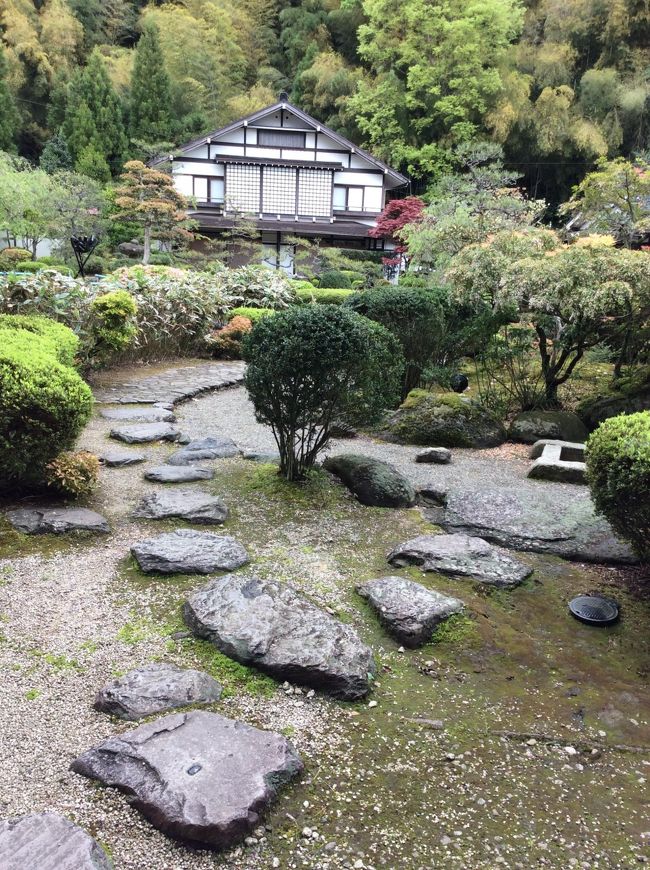 ゴールデンウィークの締めは三朝温泉の齊木別館でのんびりと宿泊しました。少し早めに着いたのですが美味しいお饅頭とお茶のおもてなしを広いロビーのソファーで接待されました。お食事も手が込んでいてとても美味しいです。