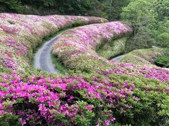 生駒のさつき園へハイキング