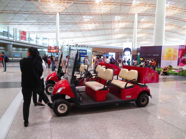 １人旅　自由旅行　手配は全てネットまたは現地で購入<br />５月７日　関空－北京　中国国際航空<br />５月７日　北京－フランス　パリ　シャルル・ド・ゴール国際空港　中国国際航空<br />５月７日　パリ泊　モンパルナス駅近く<br /><br />５月８日　朝　パリ　モンパルナス駅－トゥール駅（Gare de Tours）<br />５月８日　午後　トゥール（Tours）徘徊<br /><br />５月８日～５月１５日　トゥール（Tours）市内泊<br /><br />５月９日　トゥール駅（Gare de Tours）－ナント駅（Gare de Nantes）<br />５月９日　ナント（Nantes）徘徊<br />５月９日　ナント駅（Gare de Nantes）－トゥール駅（Gare de Tours）<br /><br />５月１０日　トゥール駅（Gare de Tours）－ル・マン駅（Gare du Mans）<br />５月１０日　ル・マン（Le Mans）徘徊<br />５月１０日　ル・マン駅（Gare du Mans）－トゥール駅（Gare de Tours）<br /><br />５月１１日　トゥール駅（Gare de Tours）－アンジェ駅（Gare d&#39;Angers Saint-Laud）<br />５月１１日　アンジェ（Angers）徘徊<br />５月１１日　アンジェ駅（Gare d&#39;Angers Saint-Laud）－トゥール駅（Gare de Tours）<br /><br />５月１２日　トゥール駅（Gare de Tours）－オルレアン駅（Gare d&#39;Orl&#233;ans）<br />５月１２日　オルレアン（Orl&#233;ans）徘徊<br />５月１２日　オルレアン駅（Gare d&#39;Orl&#233;ans）－トゥール駅（Gare de Tours）<br /><br />５月１３日　トゥール駅（Gare de Tours）－ブールジュ駅（Gare de Bourges）<br />５月１３日　ブールジュ（Bourges）徘徊<br />５月１３日　ブールジュ駅（Gare de Bourges）－トゥール駅（Gare de Tours）<br /><br />５月１４日　トゥール駅（Gare de Tours）－ポアティエ駅（Gare de Poitiers）<br />５月１４日　ポアティエ（Poitiers）徘徊<br />５月１４日　ポアティエ駅（Gare de Poitiers）－トゥール駅（Gare de Tours）<br /><br />５月１５日　午前　トゥール（Tours）徘徊<br />５月１５日　午後　トゥール駅（Gare de Tours）－A&#233;roport Charles-de-Gaulle 2 - TGV駅<br />●５月１５日　夜　フランス　パリ　シャルル・ド・ゴール国際空港－北京  中国国際航空<br />５月１６日　北京－関空　中国国際航空