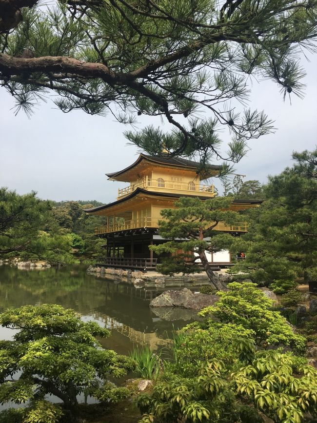 5年ぶりに京都に行きましたが、噂に違わず混んでました…暫く行きたくない(笑)
