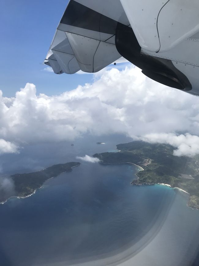 羽田の深夜便にてマニラ。マニラで数時間待ち…プロペラ機のエアースゥフト？！の飛行機でエルニドまで飛び(*^^*)、、タクシー&#128661;でダイブショップまで…(運転手の方の間違いでトランクを二個引きずりながら歩く事10分。やっと着いたダイブショップで、パタパタと着替え午後二本のダイビングが始まった(*⁰▿⁰*)とでもハード。まるで、部活！！笑。<br />夜ほヨーロピアンが多いバックパッカーの街なのか<br />お洒落なお店も多く、食事に迷った挙句、フィリピンローカルフード。疲れすぎてて覚えているのは、日本で言う焼き鳥二本とライス。<br />2日目、3日目はもちろんダイビング！！<br />亀&#128034;はいたんですが、マクロ好きな私には初めて見るハゼとか…ブレニーちゃんとかとか。<br />あっ！！！ボード?から見る景色は絶景！！でした！！なんか、コタオにも似てるかも？？！！<br />夜はやっぱり、お土産を見ながらブラブラ。<br />思うんですが、、お土産は安いTシャツより、ちょっと高め(650ペソくらい)の方可愛いくって生地がしっかりしてる！！  値切れないけど。 おススメ！<br />夕飯はやはり、フィリピンローカルフードとRED house。<br />海の水温は31度ちょっとあった。でも、私には寒い&#10052;️私の体は何度なら良いのか？？？？？不安になった(*⁰▿⁰*)けど。笑笑。<br />キンセンフエダイとキャベツコーラルは凄い(๑&gt;◡&lt;๑)！キャベツコーラルは絶対に折れない&#8252;️<br />群に夢中になっても折ってはダメ！(๑･̑◡･̑๑)。<br />最終日は午前のダイビング二本とパラワン観光！！<br />カヌーに乗って?遊びましタァ(๑˃̵ᴗ˂̵)<br />帰国の日は、朝、ホテルでパンケーキを食べて<br />タクシーで空港まで行き&#9992;️でマニラへ！！<br />マニラこら成田へ！！<br />そうね…朝6時出発で帰宅は夜11時半。<br />マニラでの待ち時間が数時間ありました！！<br />お疲れ様！！楽しかった！！<br />壮大な景色！！癒される！！<br />是非、一度はエルニドにも行ってみて下さい(๑˃̵ᴗ˂̵)<br />