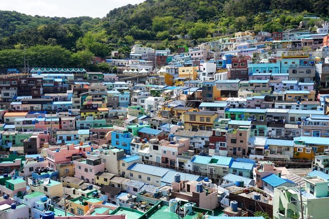 GWフィリピン・韓国旅行。<br />会社カレンダーがなかなか決定せず、かつ世間は最大10連休ということでいい(安い)チケットが見つからない…<br />スリランカとセブ島と迷ったあげくセブ島発着にしたが、スリランカが渡航できる状態でなかったため、結果的に正解だった。<br />直行便が取れなかったので韓国経由で。<br /><br />旅程は、<br />4月27日 出国。釜山観光(甘川洞文化村、BIFF広場、釜山タワー)<br />4月28日 シキホール島観光(サラグドーン・ビーチ、カンブガハイ滝、センチュリー・オールド・バレテ・ツリー)<br />4月29日 シキホール島観光(ボロボロ体験)<br />4月30日 ボホール島観光(アロナ・ビダ・ビーチ、ホタル観賞ツアー)<br />5月1日 ボホール島観光(チョコレート・ヒルズ、ロボック川クルーズ、ターシャ保護区、バクラヨン教会)<br />5月2日 セブ島観光(サン・ペドロ要塞、サント・ニーニョ教会、マゼラン・クロス、ロビンソンズ・ガリレア・セブ)<br />5月3日 ソウル観光(明洞)<br />5月4日 ソウル観光(景福宮、北村韓屋村、昌徳宮、ロッテマート、南大門、明洞)<br />5月5日 帰国。