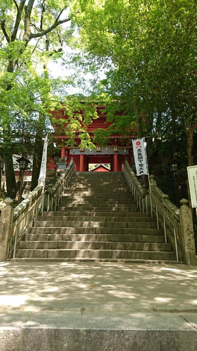 朝ごはんをしっかりいただいて、津和野8時19発の普通列車で新山口へ。<br />朝の駅前はとても静か。<br /><br /><br />新山口到着予定は10時4分。<br />山口線途中駅、当然ICカードは使えない<br />2時間弱、山間部を走る列車の揺れが心地よく爆睡しました。<br />この時間は、乗客もまばら。。。私たちが乗っている車両にはほかに誰もいませんでした。<br />この辺りは電車も少ないし、車社会なのでしょうね。<br />&#160;<br />山間部の自然ともさようなら。<br />&#160;<br />新山口からは新幹線で新下関に出ました。<br />乗車時間22分。普通列車だと1時間程度のところ、本当に新幹線って速い。<br />&#160;<br />新下関駅に到着。<br /><br /><br /><br />観光の中心は下関なのですが、一の宮を訪ねるために、新下関駅からタクシーで。<br />新山口駅からの一ノ宮の経験があるので、大丈夫かなーと思いつつ、帰りは仮にタクシーが拾えなくても歩いて20分程度なので、割り切って長門の国一ノ宮住吉神社でおろしてもらいました。<br />&#160;<br />運転手さん、道すがらいろいろ教えてくれました。<br />新下関には、一ノ宮、二ノ宮あるらしいです。<br /><br />一ノ宮に到着。<br />こちらの拝殿は、毛利元就が寄進したものだそうです。<br />春紅葉が目にまぶしいです。<br />綺麗な茅葺きで立派な一の宮でした。<br /><br />&#160;<br />外来種が極力入ってこないようにし、もともとの自然景観を保持されているようです。<br />&#160;<br />帰りはバス、という選択肢もあることがわかりましたが、本数が少なかったので歩きで20分ほどで新下関駅へ。<br />&#160;<br />在来線のダイヤが乱れており、50分遅れて来たので、結果的にゆっくり移動して正解でした。<br />&#160;<br />新山口駅では、お土産に赤間うに、ふく茶漬け、ふく雑炊、外郎などおいしいものいっぱいすぎて、買い込んでしまいました。<br />&#160;&#160;<br />   