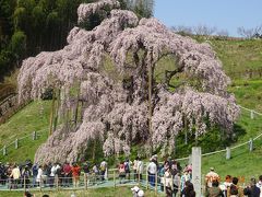 三春滝桜と花見山公園２日間の旅！