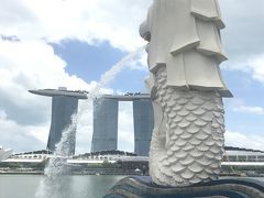 【女3人シンガポール1週間滞在記①】シンガポール到着。リトルインディア散策。マーライオンへ。