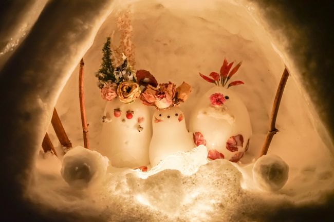去年の秋に続いて2度目の北海道旅。<br />今回は一人旅で、函館→札幌→小樽で冬のお祭りめぐりをします。<br /><br />1日目:函館 五稜郭タワー「五稜星の夢イルミネーション」<br />https://4travel.jp/travelogue/11489481<br /><br />2日目:札幌 「さっぽろ雪まつり」<br />https://4travel.jp/travelogue/11491867<br /><br />3日目:小樽 「小樽雪あかりの路」<br />