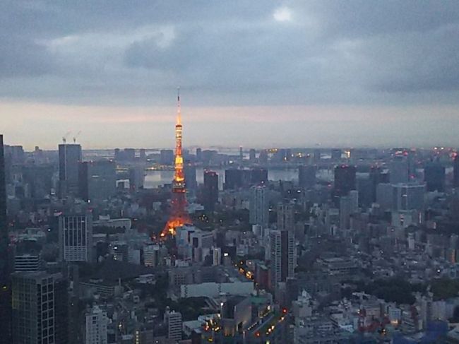 バリ旅行から2週間ですが、東京に行く用があったのでザ・リッツカールトン東京に行ってきました。<br />今回は残念なことが多い滞在でした。