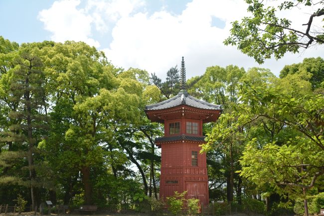 西武新宿線の沼袋駅を出発して明治寺などのお寺巡りをしてから中野哲学堂へ行きました。なかなか興味深い公園です。もうちょっとゆっくりしていろいろ考えるのもよいかもしれません。<br />哲学堂から光徳院、東光寺を巡ってから、新井薬師梅照院へ行き最後に中野沼袋氷川神社に行きました。<br />素晴らしいお寺が多くもうちょっと範囲を広げて探索すればよかったかな～と思っています。