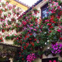 2019GW　南スペイン　アンダルシア　レンタカーの旅　⑥　コルドバ