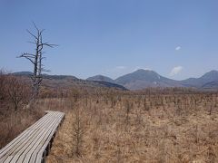 初夏の日光の旅２日目 戦場が原、小田代が原ハイキング