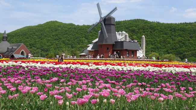 　休日を利用してチューリップ公園に行ってみました！人がたくさん来ていました！駐車場を確保するのも大変で近くの中学校のグランドなどを借りて駐車！いざ、中に入ります!!暑くて暑くてアイスクリームなどの冷たいものが恋しくなります！！<br /><br />　その後はえんがるのコスモス園で芝桜を楽しんできました。こちらはまだ秋ではないので、コスモスは咲いてませんが芝桜は満開でした。<br /><br />　どっちも色とりどりで美しく、フラワーカーペットを歩いているようでした。<br /><br />　★かみゆうべつチューリップフェア　★チューリップ館<br />★かみゆうべつチューリップ公園