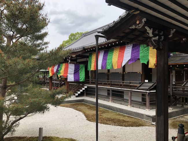 2019年5月18日～19日　京都嵐山旅行<br /><br />1日目<br />大覚寺～清凉寺～ホテルチェックイン～化野念仏寺<br /><br />2日目<br />苔寺～鈴虫寺～松尾大社