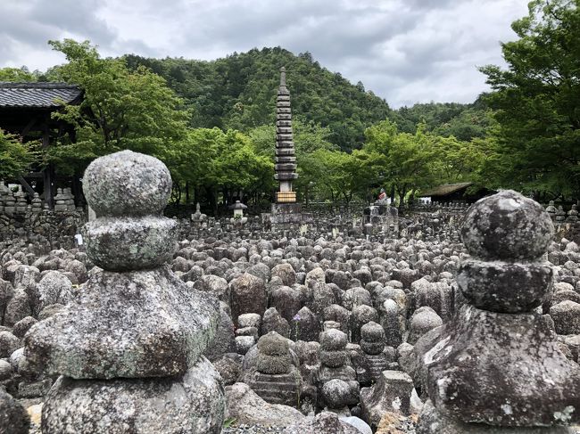 2019年05月　京都嵐山旅行２　化野散策と本日の宿、花伝沙