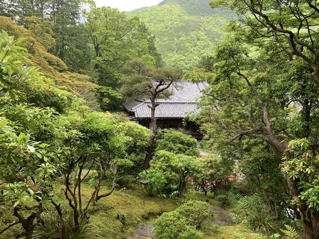 今回の箱根旅行では、東急ハーヴェストクラブ VIALA 箱根翡翠に宿泊しました!先月、京都で宿泊した東急ハーヴェストクラブ 京都鷹峯&VIALAがとても良かったので、箱根でも東急ハーヴェストクラブ VIALA 箱根翡翠に決めました!<br />ある有名な方も、東急ハーヴェストなら京都の次に箱根が良かったと太鼓判を押していたので、迷わずこちらにしました。<br />評判通り、接客、お部屋、大浴場、お食事 どれもクオリティー高くとても満足出来ました。ここに宿泊されるお客様は品がある方が多く、静かで快適に過ごせました。<br />箱根グルメは、箱根湯本の湯葉丼の直吉さん、宮ノ下の自然薯の山薬さんとヘルシーな食事を頂きました!<br />ビックリしたのは、チェックアウトの朝、足湯に浸かっていたら、町の宣伝カーが、箱根の噴火警戒レベルが2に引き上げられたと言う事です。<br />大涌谷周辺が立ち入り規制となった為、箱根ロープウェイが全線運転見合わせとなりました。