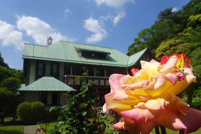鎌倉文学館でバラを見た後、鎌倉に残る洋館をさらに4つほど見て回った。(後編)<br />鎌倉には洋館は少ないが、三大洋館(鎌倉文学館、古我邸、旧華頂宮邸)などは、横浜の洋館と比べてもそん色ない。<br />以下の4つの洋館を順番に訪れた。<br /><br />(1)長谷こども会館 1908(明治41)年建築。現在、閉館中。<br />(2)かいひん荘鎌倉 大正13年築の洋館。旅館になっている。<br />(3)古我邸 鎌倉三大洋館の一つ。1916(大正5)年建築の大別荘。2015年にレストランで公開。<br />(4)旧華頂宮邸 鎌倉三大洋館の一つ。昭和4年建築。ドラマのロケ現場によく使われる。<br /><br />前編の鎌倉文学館は以下の旅行記です。<br />https://4travel.jp/travelogue/11495634<br /><br />過去の鎌倉の旅行記は旅行記グループ「鎌倉」を見てください。<br />