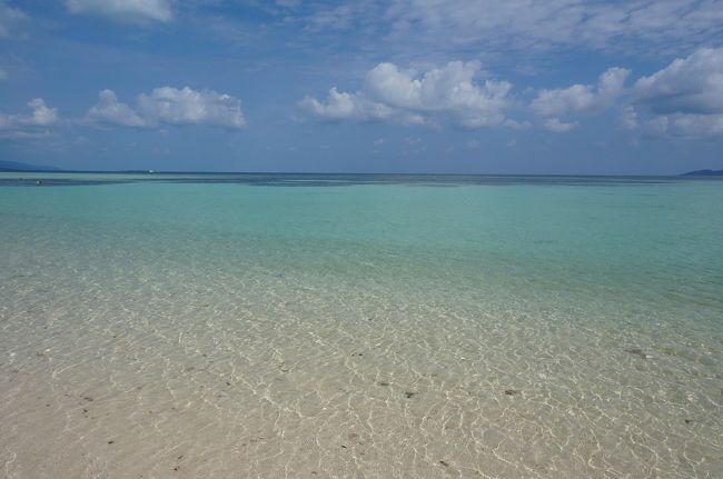 ゴールデンウィークに　3泊4日で八重山諸島に行ってきました。<br /><br />1日目は　石垣島　https://4travel.jp/travelogue/11490347　<br />2日目は　与那国島　https://4travel.jp/travelogue/11490972<br />3日目は　波照間島　https://4travel.jp/travelogue/11493226<br /><br />3日目  波照間島を訪れた後は一旦石垣島に戻り　竹富島に向かいました<br /><br />この日の宿泊先は  <br />1日6組限定の　なかなか予約がとれない民宿<br />「やど家たけのこ」さん<br /><br />去年の夏　やっと予約できて楽しみにしていたのに<br />台風で泣く泣くキャンセル（涙<br /><br />今年のお正月にダメ元でGWの空き状況を見てみると<br />なんと1部屋が1日だけ空いている！<br />迷わずポチッ(^^)/<br /><br />この日に合わせて<br />今回の旅行の日程を決めました<br /><br />