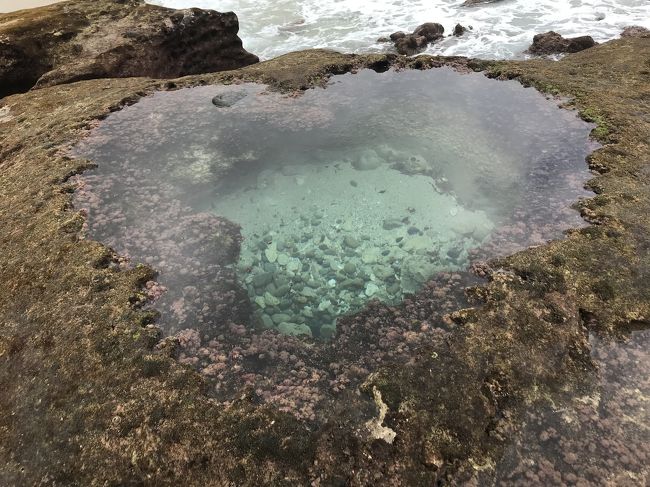 奄美大島行きました<br />バニラエアさんのお世話になりました<br />土日の一泊二日旅<br /><br />一日目は、事前に現地のカメラマンさんにお願いして写真を撮っていただきました。<br />ビュースポットで撮影してもらい　旅の思い出としても<br />ポートレートとしても素敵な写真が残りそうです。<br /><br />ひとり旅ですが　撮影で同行していただき賑やかな充実した時間となりました。<br />旅先で撮影依頼は初めてしましたが　ひとりでは味わえない面白い旅ができました。<br />