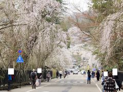 桜前線を追いかけて！　マイカーで行く東北６県周遊１２日間の旅に行ってきました　№３　第６日目～７日目　岩手県～秋田県～岩手県～青森県～秋田県