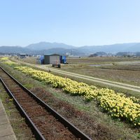 山形鉄道フラワー長井線で行く、置賜さくら回廊