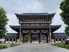 雨の日のお散歩