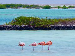 Coming soon! Bonaire