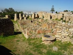 ２０１９年４月早春のチュニジア一人旅　２．カルタゴ遺跡から雨のシディ・ブ・サイドへ