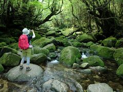 屋久島　植生の垂直分布を歩く　白谷雲水峡