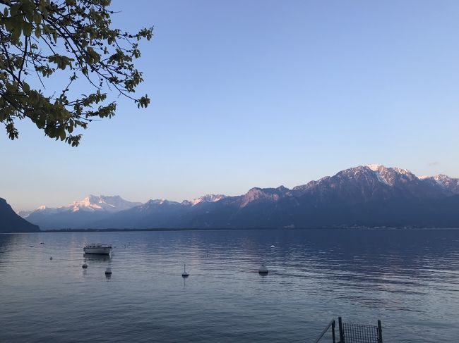 ツアー参加で　季節外れの５月に　スイスの西側に行ってきました。山はまだ雪におおわれていますが　野には春がゆっくり　訪れていました。実質５日間足らずの短い工程で　フランスのアルザス地方も見る　欲張った内容ですが<br />未知のことも多く　楽しい旅になりました。（二人合わせて１３７歳の年寄り夫婦の旅行記。）　<br />写真は早春のレマン湖<br />