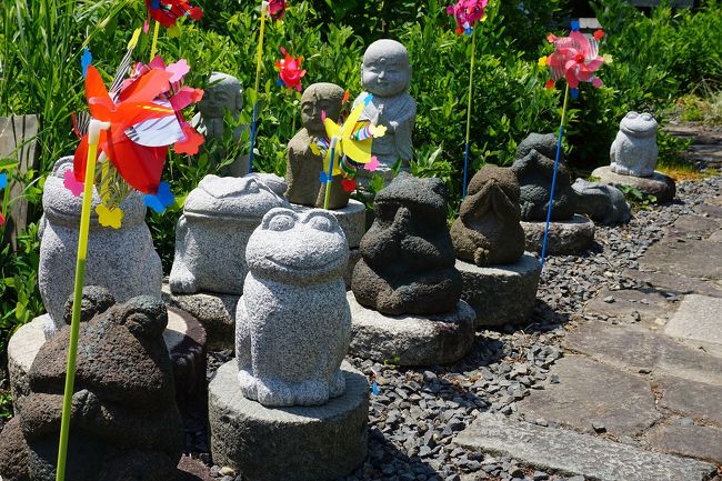 「丹波橋」を探して、伏見界隈をブラブラしてみました。<br />画像は、@勝念寺@丹波橋通り沿いです。<br /><br />過去の京都「橋」な駅散歩記<br /><br />関西散歩記~2018-2 京都・京都市伏見区編~「地下鉄くいな橋駅」<br />https://4travel.jp/travelogue/11441015<br /><br />関西散歩記~2018 京都・京都市伏見区編~その1「京阪観月橋駅」<br />https://4travel.jp/travelogue/11361822<br /><br />過去の京都・京都市伏見区散歩記~<br /><br />関西散歩記~2018-2 京都・京都市伏見区編~<br />https://4travel.jp/travelogue/11441015<br /><br />関西散歩記~2018 京都・京都市伏見区編~その2<br />https://4travel.jp/travelogue/11361823<br /><br />関西散歩記~2018 京都・京都市伏見区編~その1<br />https://4travel.jp/travelogue/11361822<br /><br />関西散歩記~2017-2 京都・京都市伏見区編~<br />https://4travel.jp/travelogue/11273413<br /><br />京都まとめ旅行記<br /><br />My Favorite 京都 VOL.5<br />https://4travel.jp/travelogue/11463030<br /><br />My Favorite 京都 VOL.4<br />https://4travel.jp/travelogue/11369230<br /><br />My Favorite 京都 VOL.3<br />https://4travel.jp/travelogue/11275410<br /><br />My Favorite 京都 VOL.2<br />http://4travel.jp/travelogue/11120777<br /><br />My Favorite 京都 VOL.1<br />http://4travel.jp/travelogue/10945390<br />