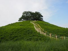 富岡製糸場に行く途中、偶然見つけた世界遺産を目指すさきたま古墳群　