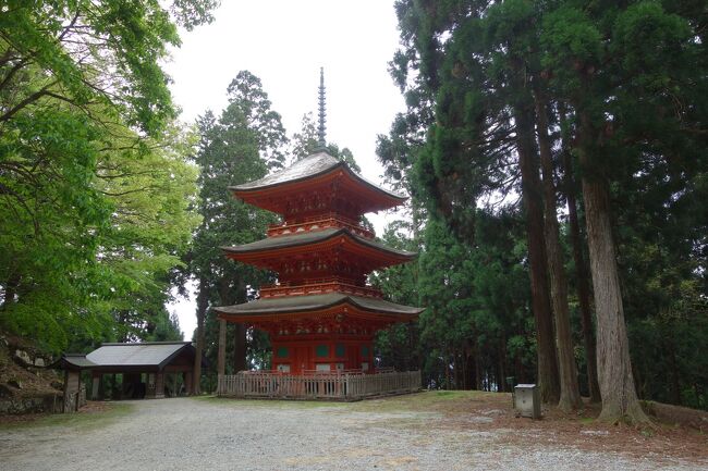 今回は兵庫にある３重の塔・多宝塔を巡る旅<br />石峯寺(３重の塔)<br />伽耶院(多宝塔)<br />一乗寺(３重の塔)<br />酒見寺(多宝塔)<br />斑鳩寺(３重の塔)(多宝塔)<br />如意寺(３重の塔)<br />六條八幡神社(３重の塔)<br />名草神社(３重の塔)<br />徳光院(多宝塔)<br />