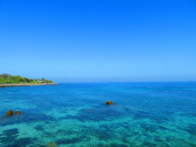 通詞島♪魚が干してある♪イルカがいる早崎瀬戸♪稲荷大明神♪自然食品研究会♪熊本・天草 島巡り 2019年4月 3泊4日1人旅(個人旅行)７３