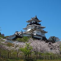 青春１８きっぷの旅 ２０１９年春 平成最後の桜を求めて ［８］ 静岡、掛川城の桜など