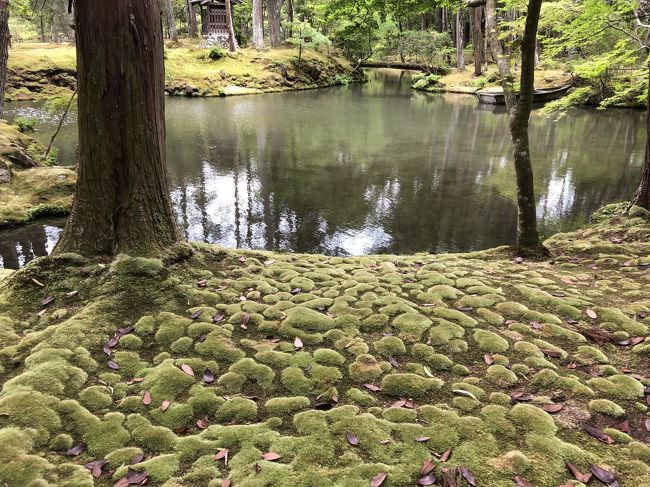 2019年05月　京都嵐山旅行３　嵐山の朝と苔寺