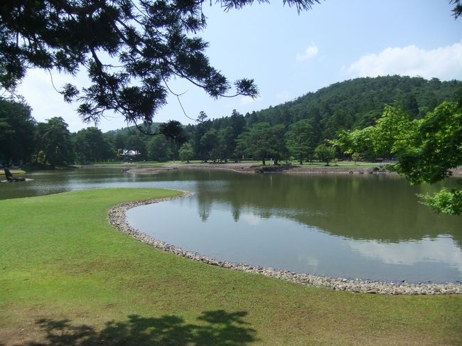 第2回目の両家での家族旅行。<br />第1回目は、僕の生まれ故郷である山口県でしたので、<br />第2回目は、嫁の生まれ故郷の宮城に決まりました。<br />両親は神戸から飛行機で仙台へ行く予定でしたが、<br />台風が近づいていて、飛行機が飛ばないリスクがあったため、<br />いったん新幹線で僕の家の千葉へ前泊。<br />翌朝一緒に東北新幹線で仙台へ向かいました。<br /><br />仙台まで迎えに来てもらい、<br />そこから一緒に石巻へ。<br /><br />石巻の自宅で昼食を食べ、まずは平泉へ向かいました。<br /><br />その後は松島を観光し、それぞれ帰路についた旅行でした。