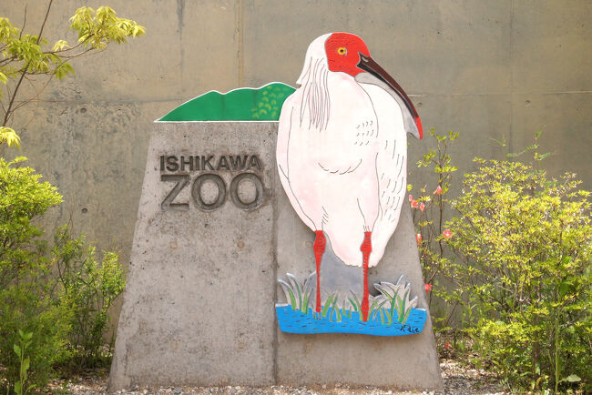 GW明けの石川県で動物たちに会ってきたお話 1 東京～いしかわ動物園の部