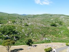 お仕事旅ではありますが。。。新緑の季節、宮島と山口の旅。