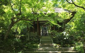 新緑の京都へ！（嵐山編）