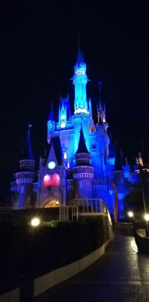 TDL 2019年5月』東京ディズニーリゾート(千葉県)の旅行記 TDL 2019年5月』東京ディズニーリゾート(千葉県)の旅行記