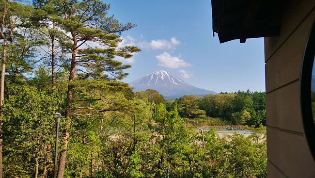 5月21日の大雨の後だったので、山道は枯葉などが流され、綺麗にお掃除されたようでした。昨日も快晴だったため、地面も微かに湿り気の残った足元が歩き易くなっていました。本栖湖は間近に見たことはあまりなかったように思います。精進湖のパノラマ台下から歩き始め、パノラマ台、烏帽子岳を通って、本栖湖畔へ。久しぶりのトレッキングだったので、河口湖畔の温泉「ゆらり」で足の疲れを解しました。東京も最高気温だった今日、温泉後のビールは一際美味しかったです。当分、暑さが厳しい日々が続来ますね。<br />表紙の写真は、午後3時頃から雲が取れた富士山頂です。午前中は雲が頂上付近に漂っていたため、今日は頂上が見れないかと思っていたのですが、こんな時間に雲が切れることがあるんですね。