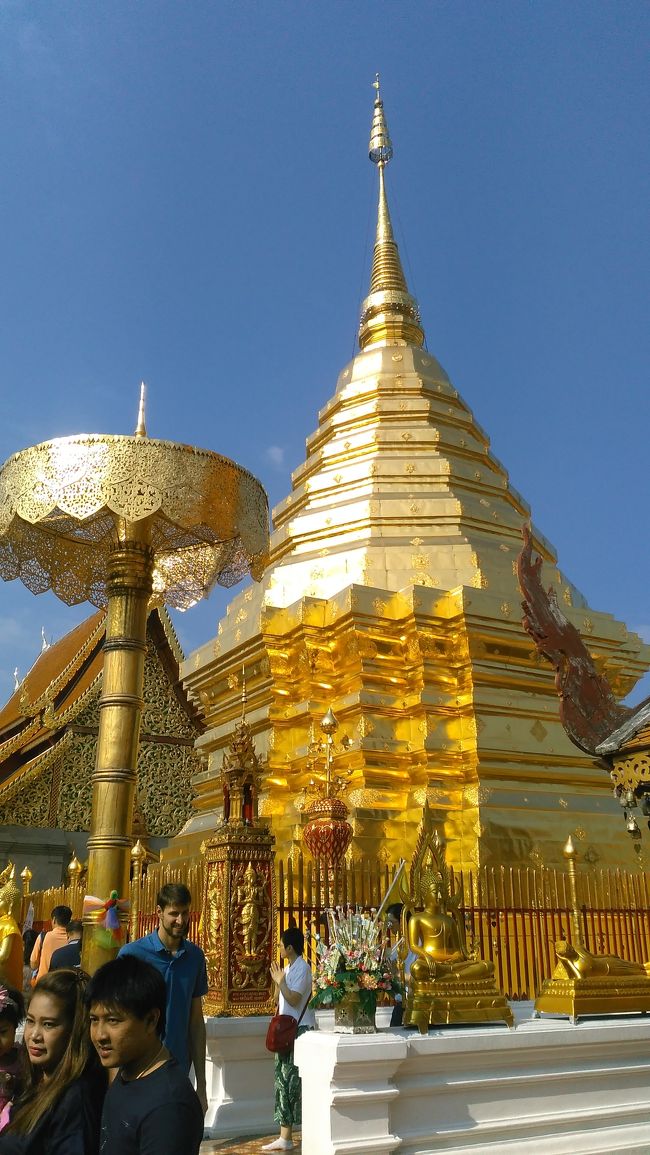 今日から北方のバラと呼ばれているチェンマイの観光です。<br />午前中はタイの聖地と言われているドイ・ステープ寺院を訪れました。<br />山上に建つ金色の仏舎利塔や金箔の仏像、本気の建物などは大変綺麗でした。<br />