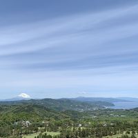 今年は10連休！西伊豆からあしかがフラワーパークまで！