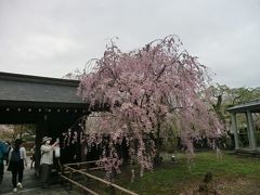 19GW旅行　今年は東北　7　角館　3