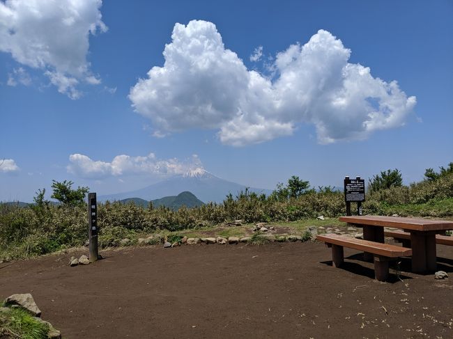 初めての明神ヶ岳(神奈川県南足柄)ハイキングに行ってきました。朝7時まえ最乗寺に着きお参りし7時20分大雄山 明神橋から登山開始しました。ハイキングコースと言え結構歩き難いV字型の狭く滑り易くしかも急坂で高齢者の私にとっては思った以上に苦戦しました。杉、ヒノキ他手入れの届いた山林の中、鶯の声を聴きながら一人寂しい登山開始でした。頂上まで約3時間途中誰とも会わず(憩をいれ)。頂上にも人影が無く写真を撮ったり軽食を食べていると60代前後のハイカーが一人で登ってこられ色々山の話をしながら小一時間ベンチに座り景色を堪能しました。そのうちもう一人登ってこられ3人になりました。登って来た道を下るのは不安(滑り易い)で相談すると最乗寺奥の院へ下りるコースが良いと途中まで同行して貰い、お蔭様で安全に下山する事が出来ました。下山中一人のハイカーとスライドしましたが結局4人しか会えない寂しいハイキングでした。