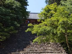 初夏の京都、お墓参りと高雄で青紅葉を愛でる旅