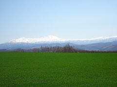 あこがれの北海道　思い切り見たい行いたい食べたいの欲張りの旅にしよう　③旭川から札幌まで