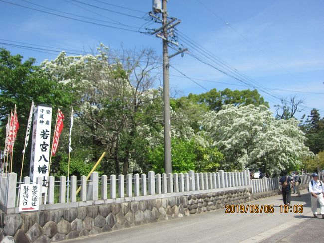 名鉄江南駅をスタートして、北野天満宮、江南市歴史民俗資料館、中央公園、若宮八幡宮、長松寺、大和屋守口漬、余野中央公園をめぐり、名鉄柏森駅に戻るコースです。　若宮八幡宮のなんじゃもんじゃがとてもきれいに咲いていました。